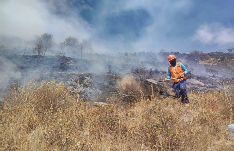 Incendio forestal en Cotahuasi está activo por más de 30 horas