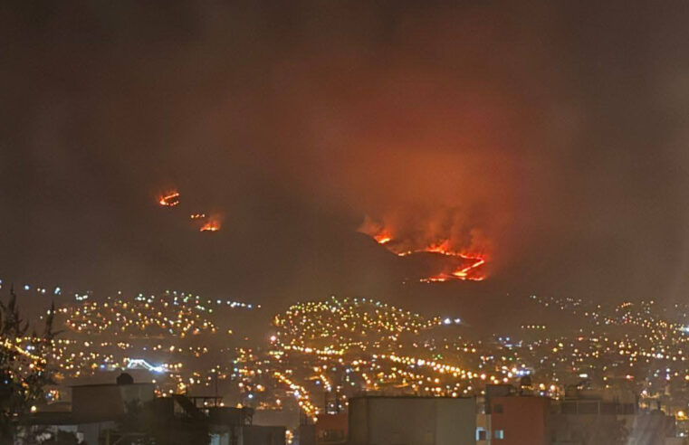 Incendio en faldas del Misti consume flora y fauna 