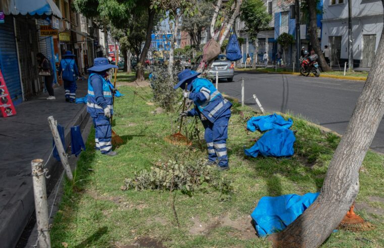 Recuperan áreas verdes y plantan 500 árboles en Av. Mariscal Castilla