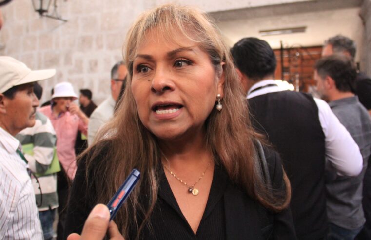 Parque tecnológico y planta de hidrógeno verde en espera