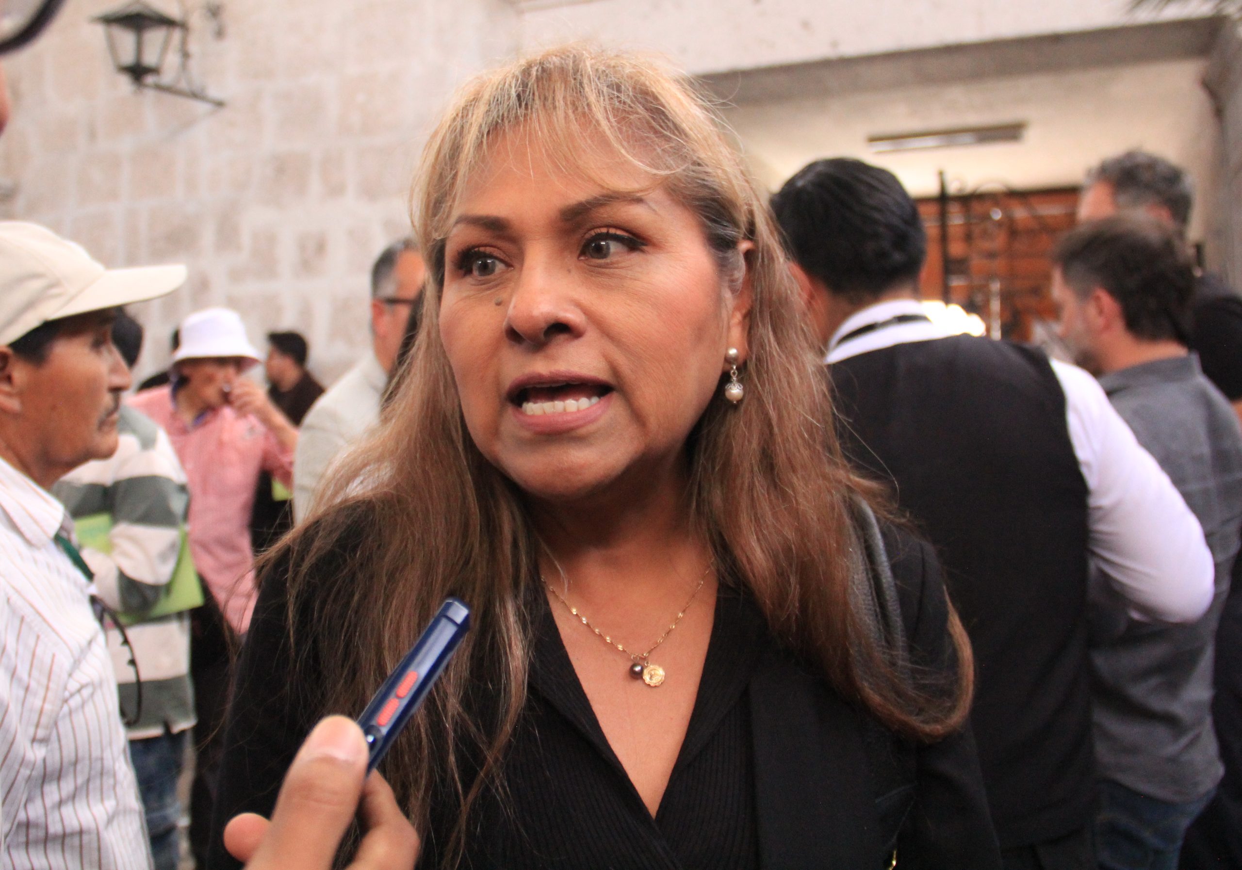 Parque tecnológico y planta de hidrógeno verde en espera