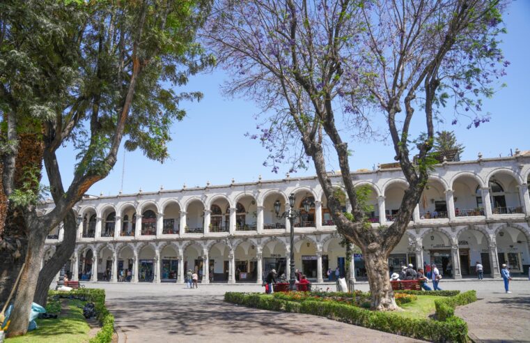 Mejoran áreas verdes de la Plaza de Armas