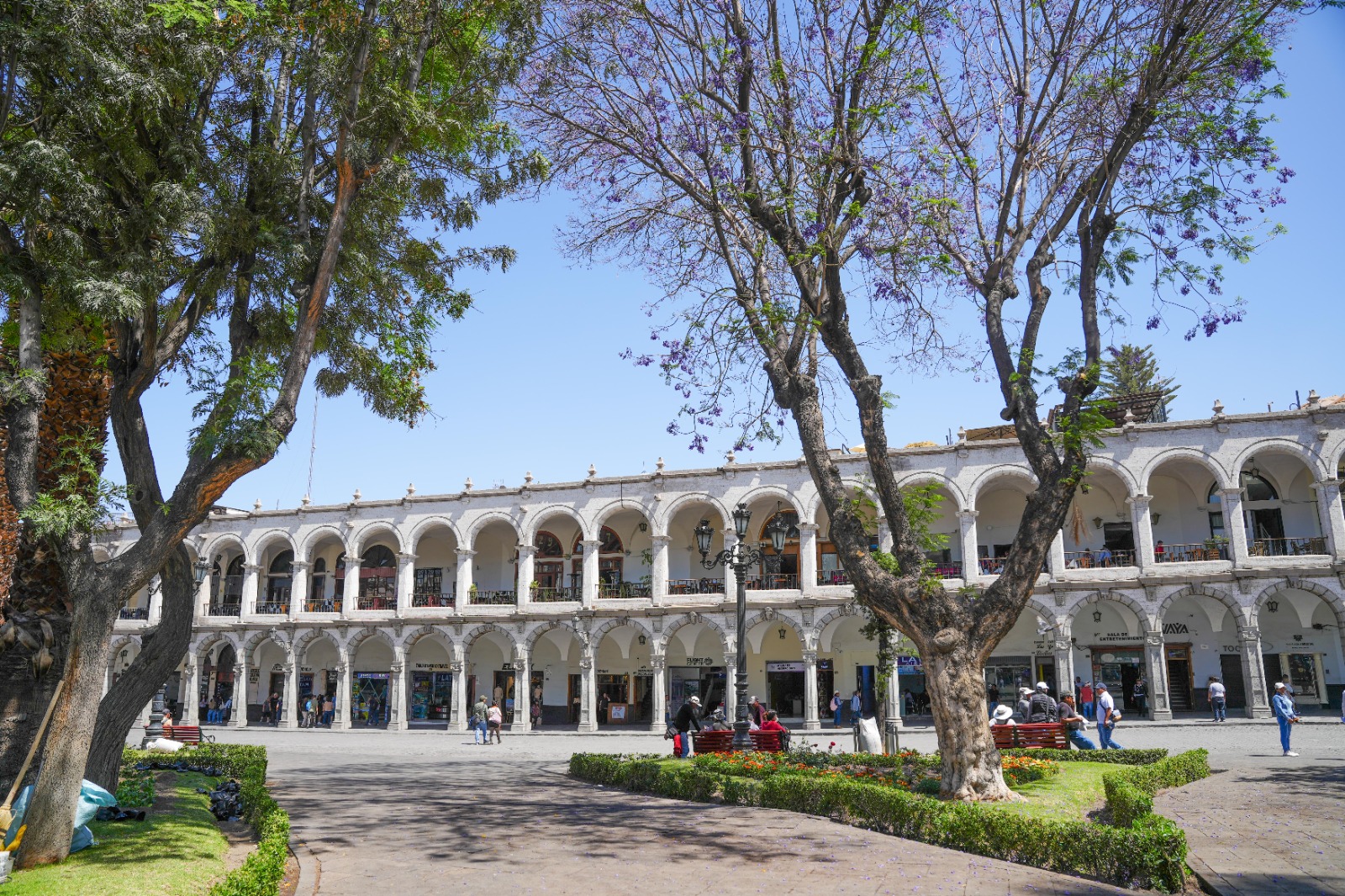 Mejoran áreas verdes de la Plaza de Armas