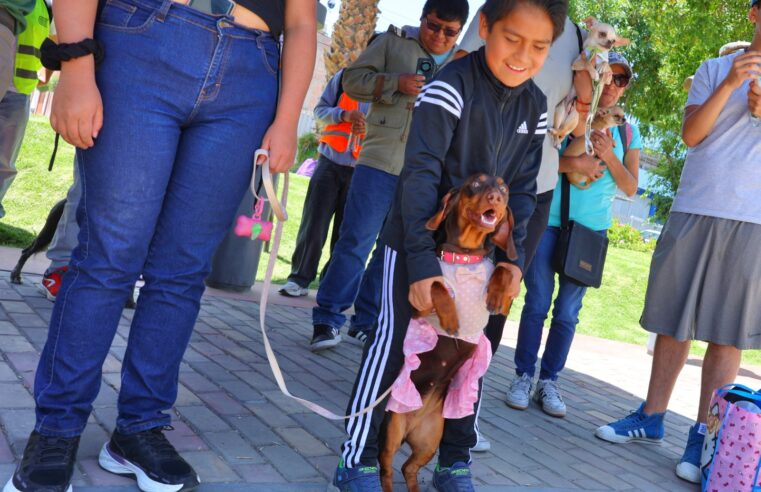 Bustamante refuerza cultura ambiental y deportiva con III Bailetón y Canminata