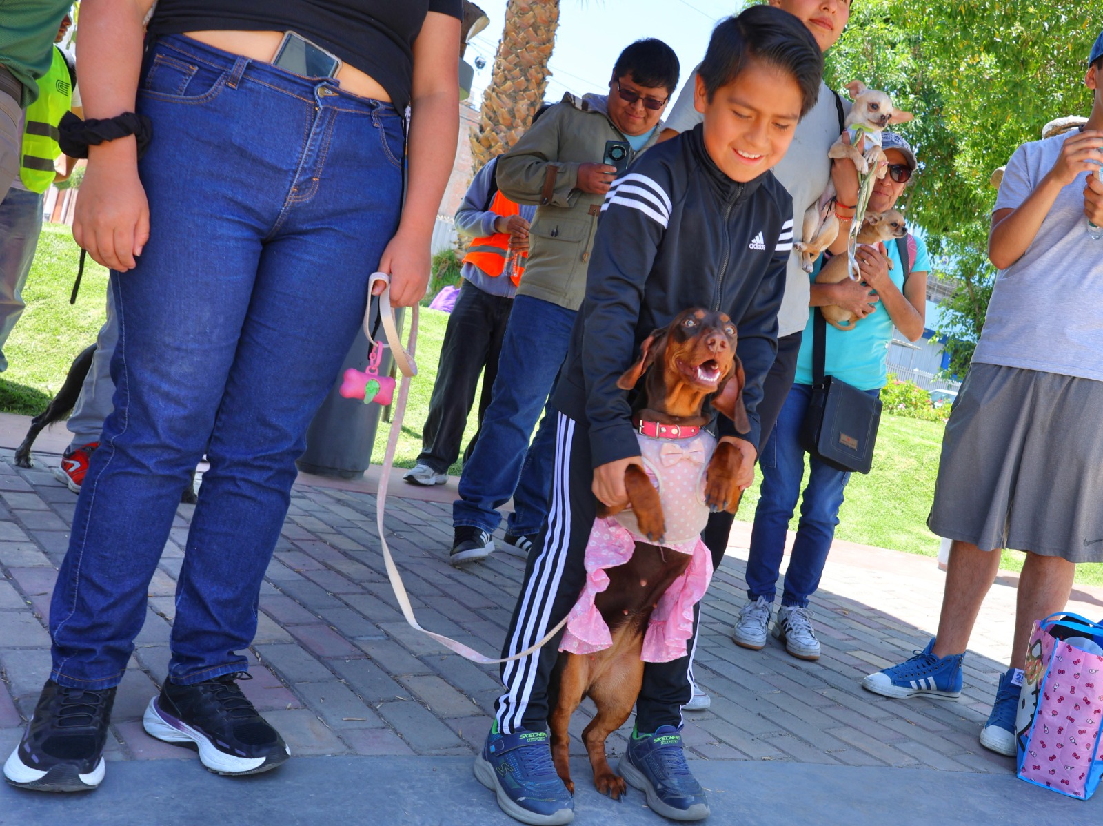 Bustamante refuerza cultura ambiental y deportiva con III Bailetón y Canminata