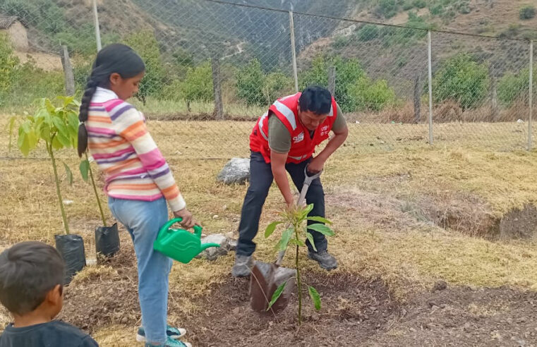 Plantan 2 524 árboles en zonas rurales
