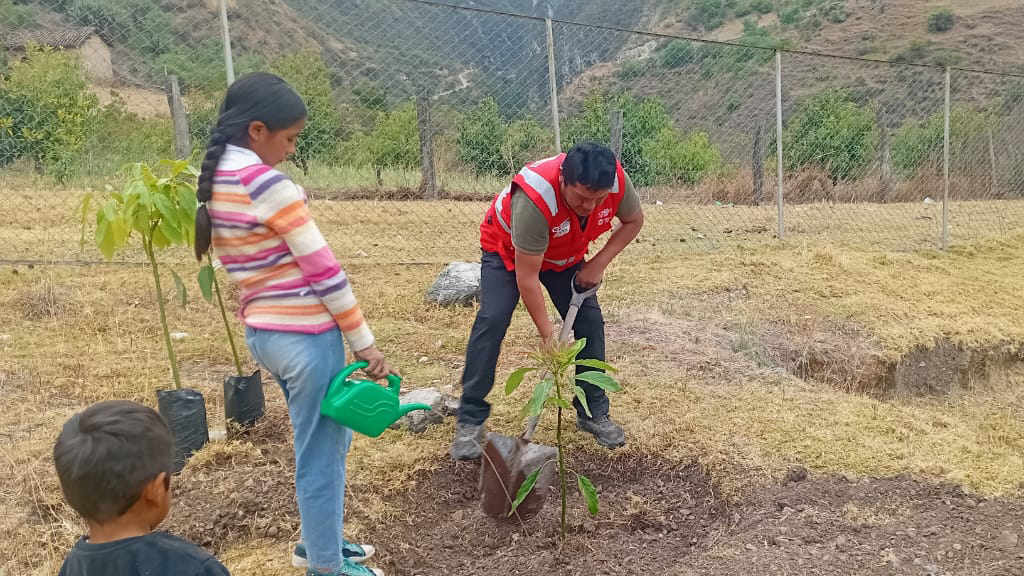 Plantan 2 524 árboles en zonas rurales