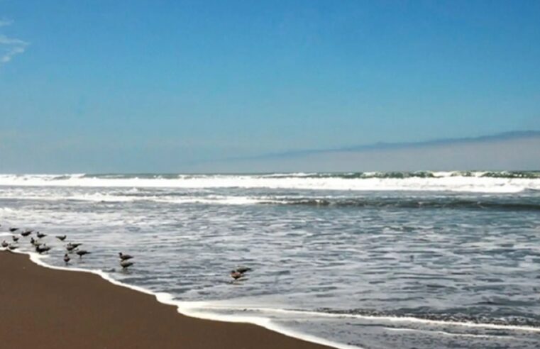 Declaran de interés nacional la construcción de malecón en Ático