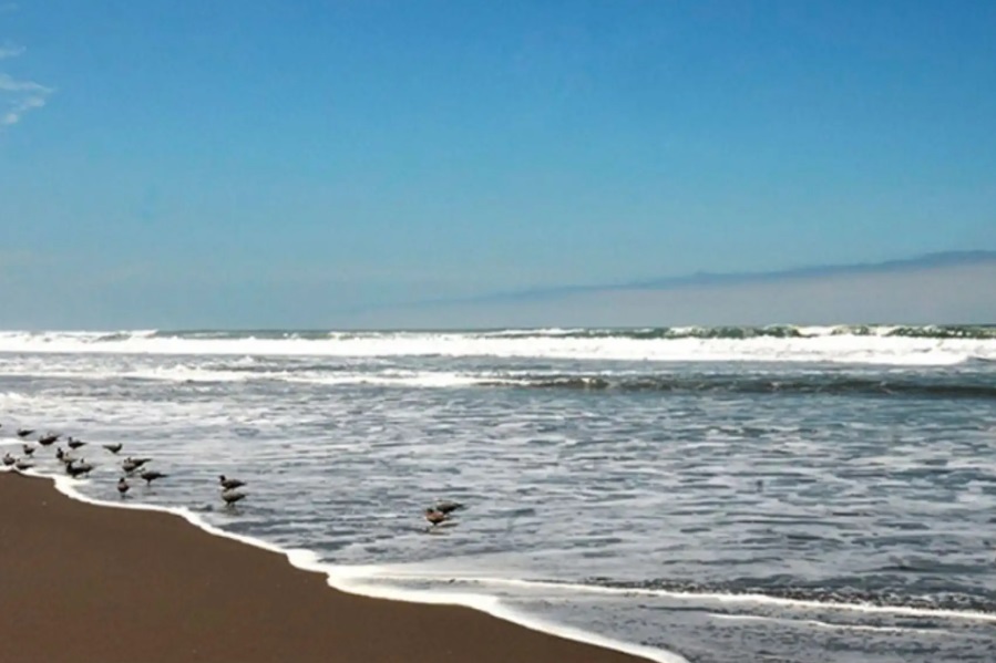 Declaran de interés nacional la construcción de malecón en Ático