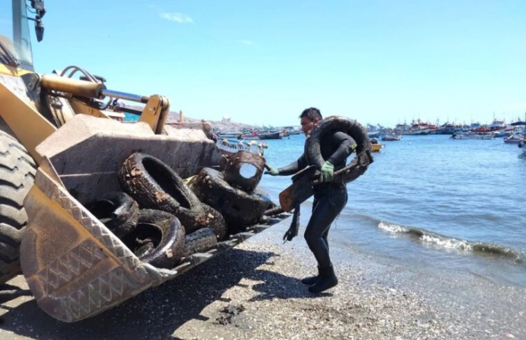 Buzos artesanales recolectan 11 toneladas de residuos