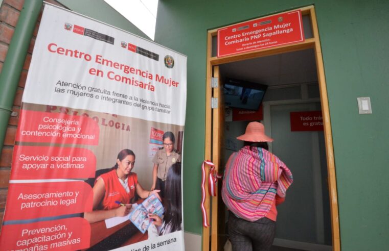Más de 113 mil casos de violencia fueron denunciados en los CEM