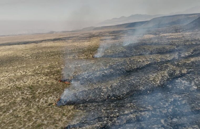 Incendio forestal en faldas del Misti arrasa 320 hectáreas