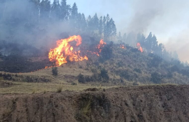 Cusco reporta segunda víctima mortal de incendios forestales