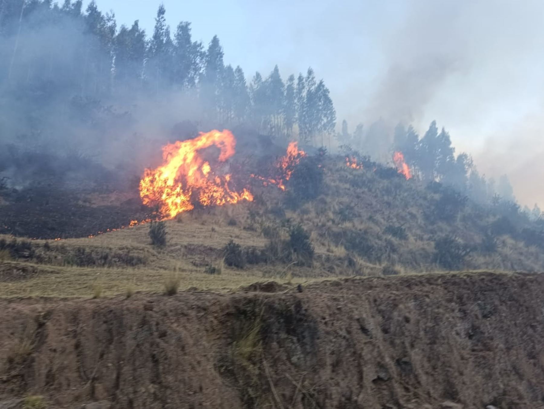 Cusco reporta segunda víctima mortal de incendios forestales