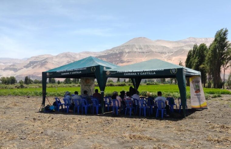 Detectan deficiencias en proyecto agrario ejecutado en Castilla y Camaná