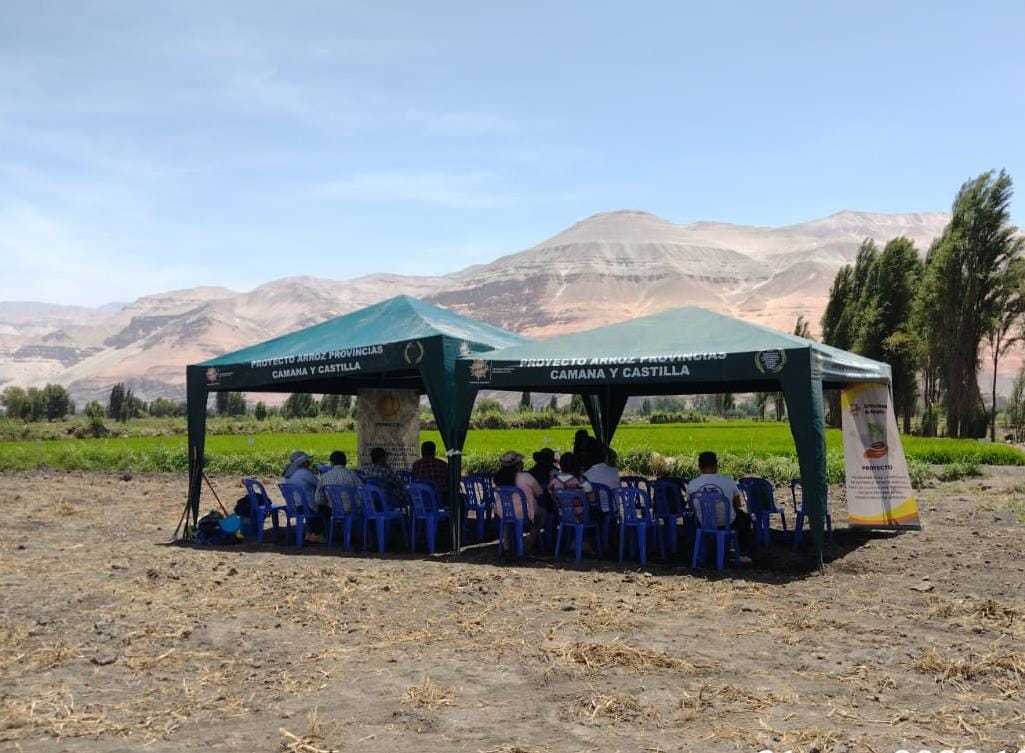 Detectan deficiencias en proyecto agrario ejecutado en Castilla y Camaná