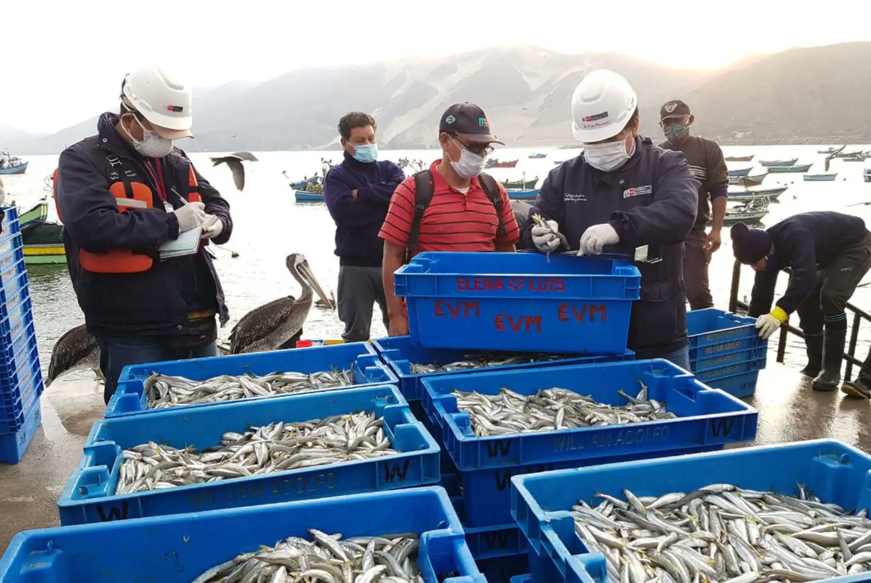 Establecen veda reproductiva del recurso pejerrey por 30 días