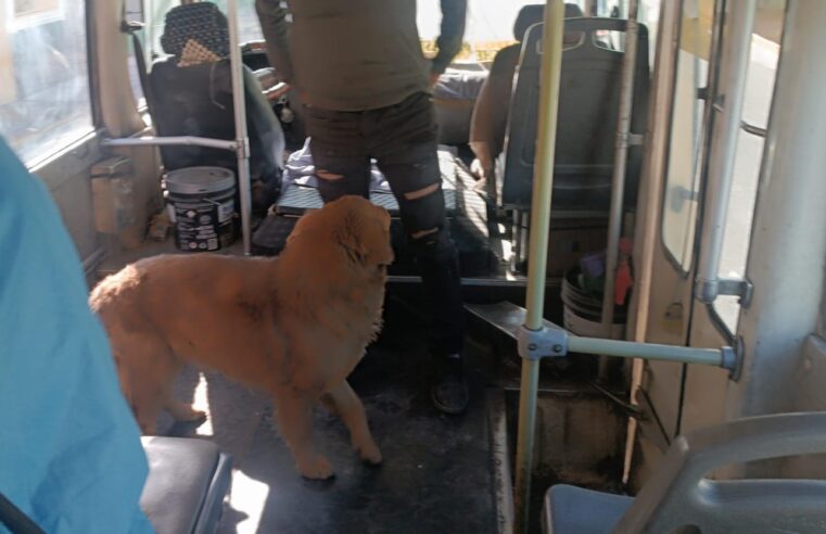 FOTO DE HOY SABADO 06 DE SETIEMBRE