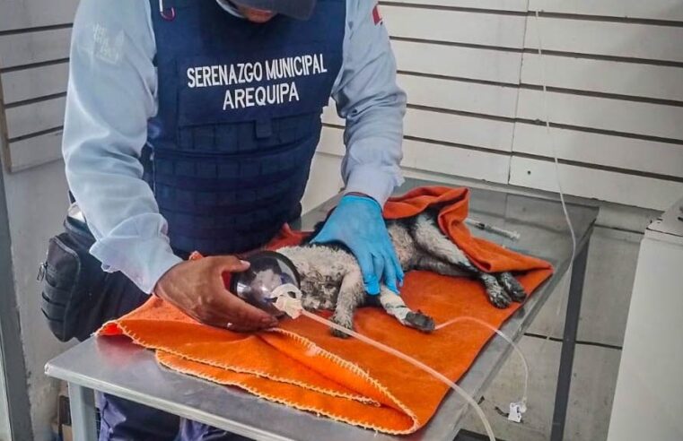 FOTO DE HOY JUEVES 25 DE SETIEMBRE