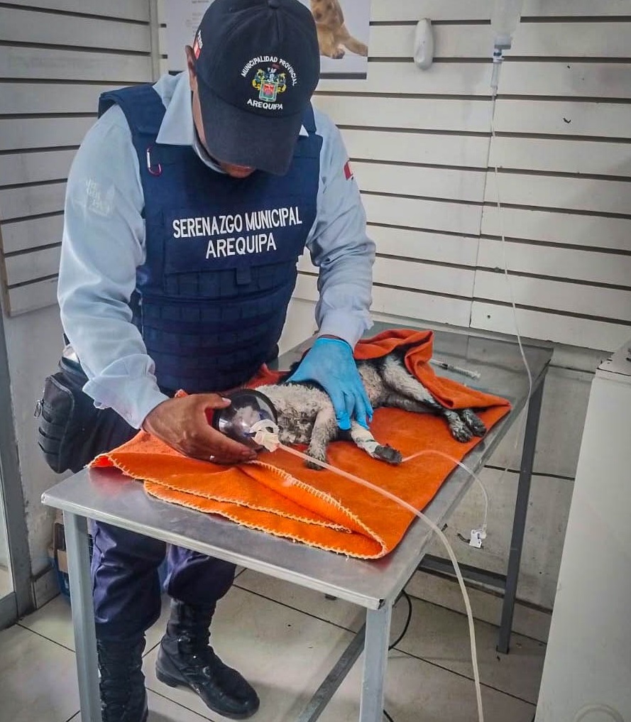 FOTO DE HOY JUEVES 25 DE SETIEMBRE