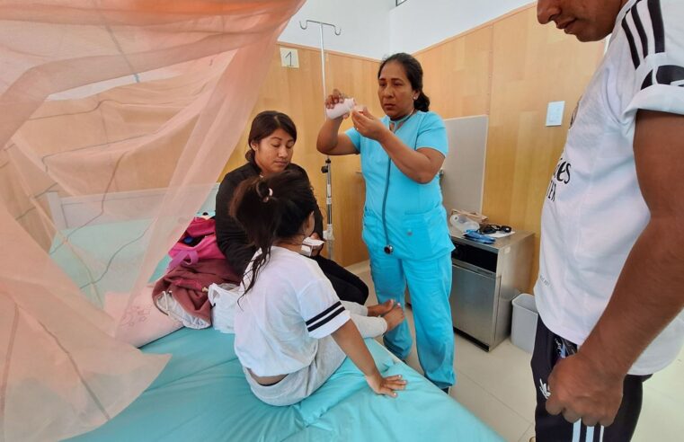 Arequipa registra 38 casos positivos de tos ferina en 2025