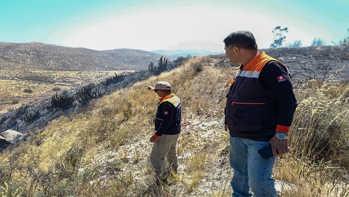 Despliegan brigadas para controlar incendio forestal en Chiguata