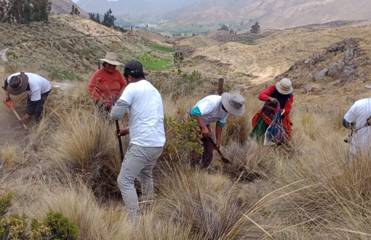 Buscan convertir a comunidades campesinas en organizaciones productivas en Arequipa