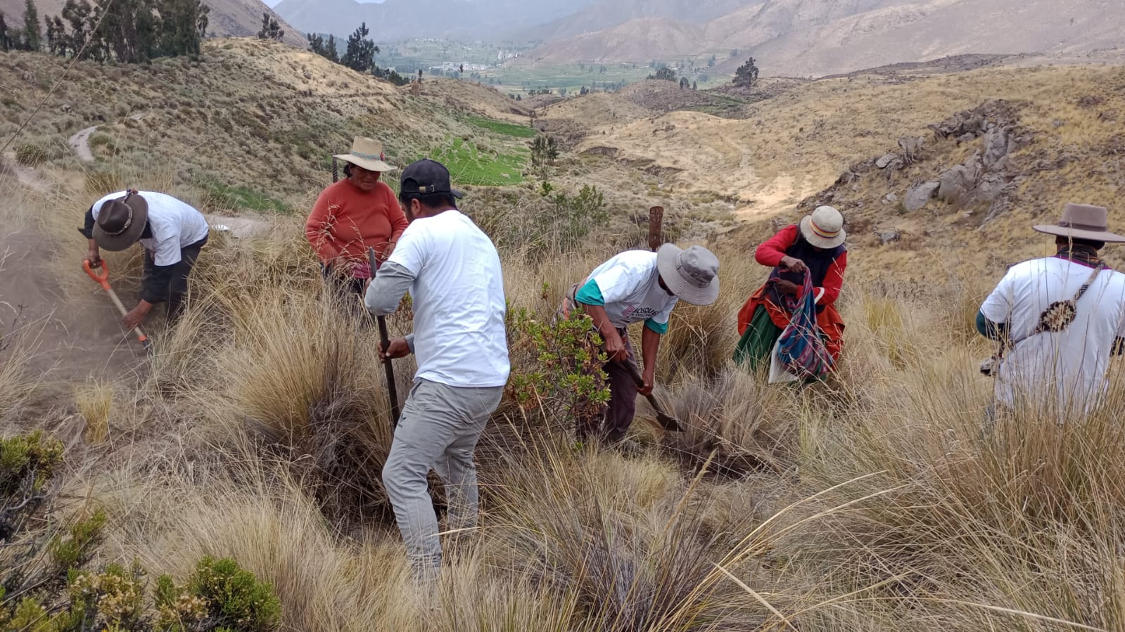 Buscan convertir a comunidades campesinas en organizaciones productivas en Arequipa