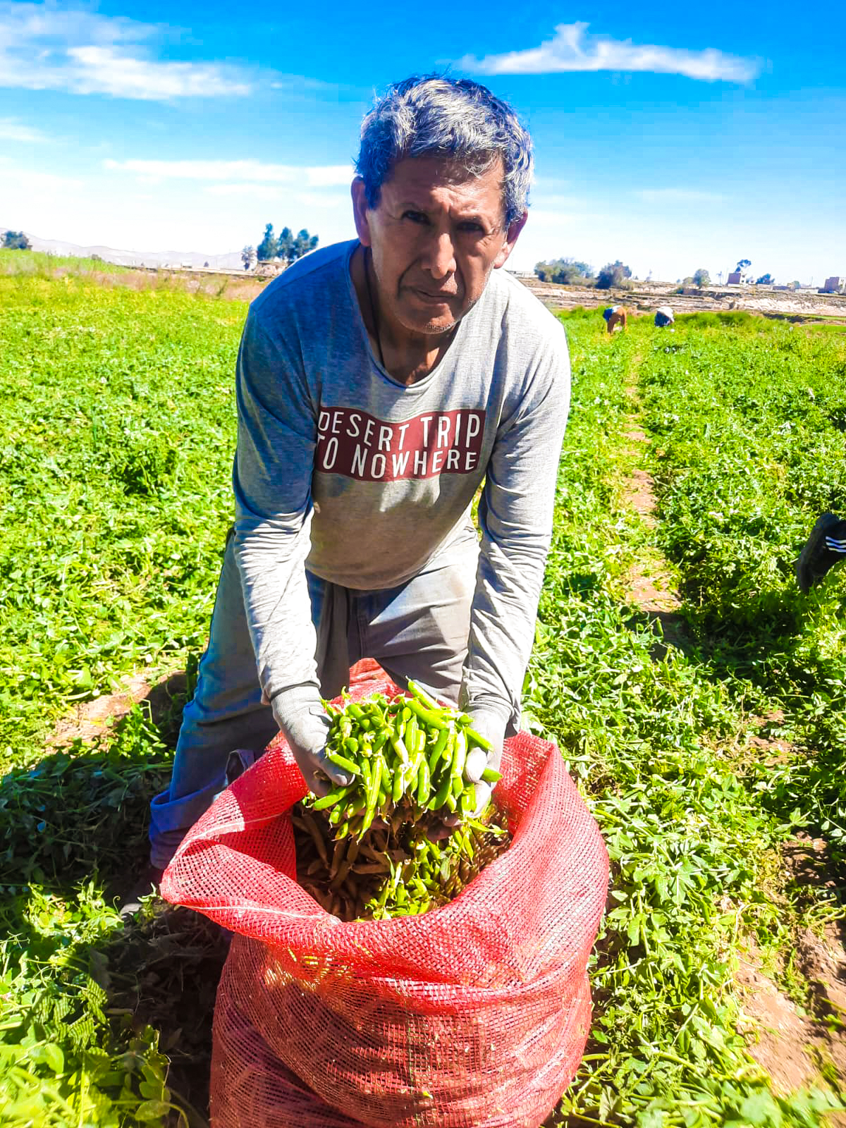 Agricultura familiar en Perú, un sector clave en la seguridad alimentaria