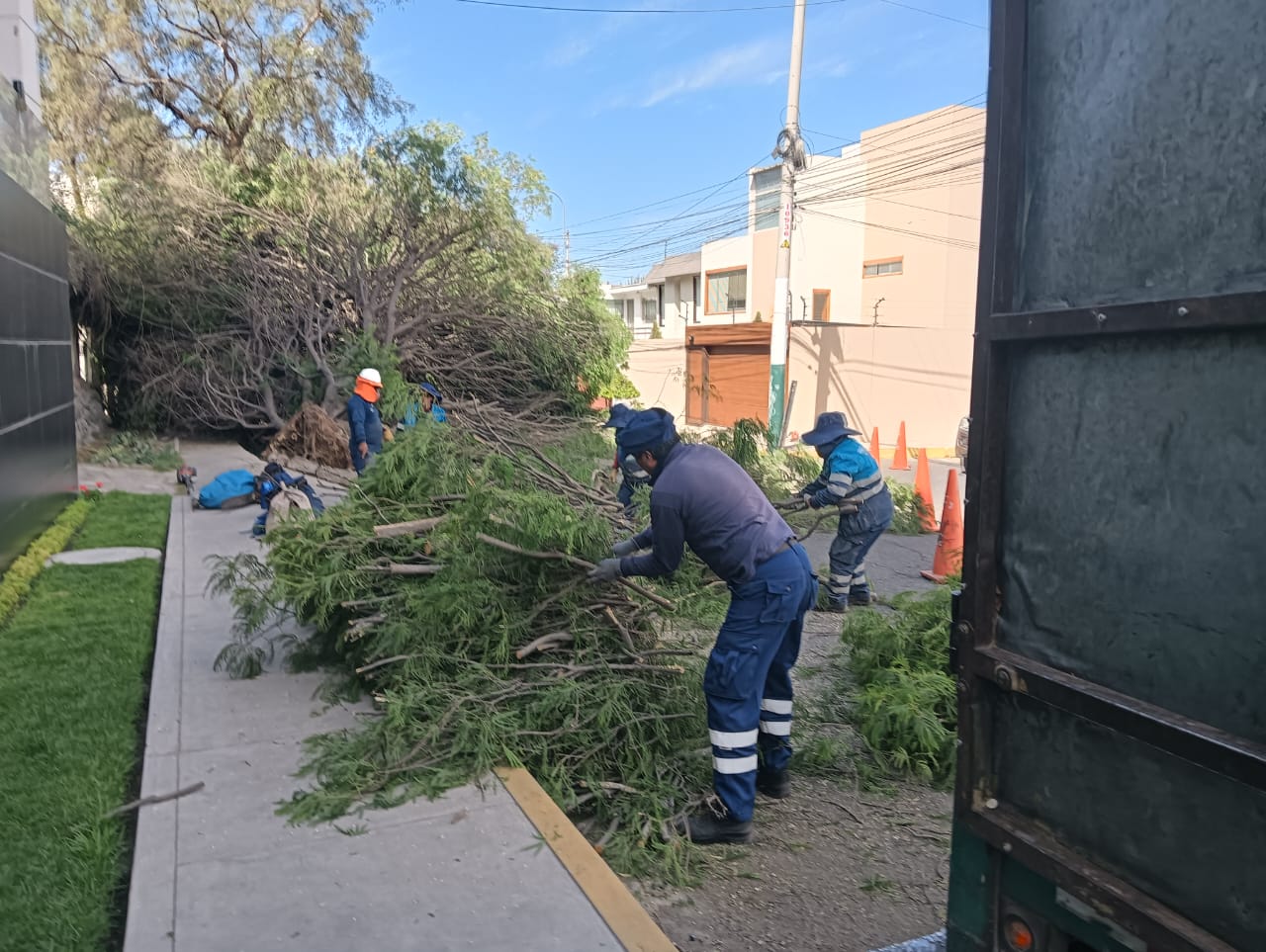 MPA retiró árbol caído en calle Luna Pizarro de la Urb. Vallecito