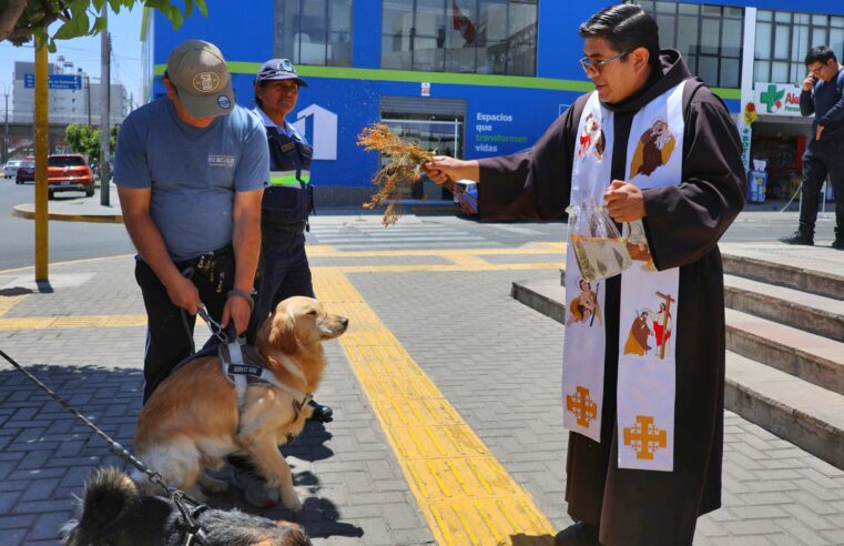 En Bustamante celebran bendición de mascotas