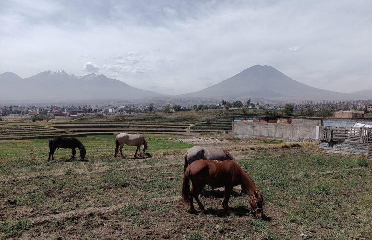 FOTO DE HOY SABADO 18 DE OCTUBRE