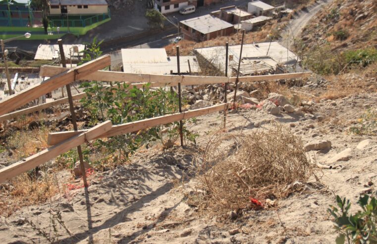 Proyecto vial en Mariano Melgar triplicó su costo, pero vecinos siguen sin pistas