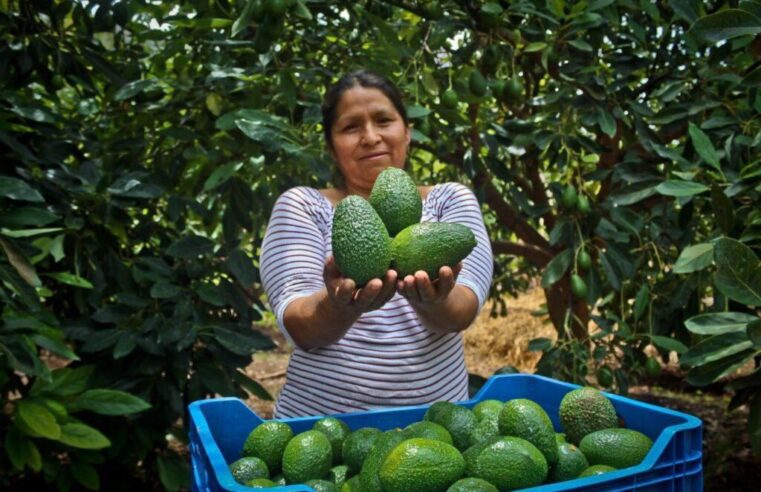 Fortalecen cadenas productivas para mejorar la alimentación