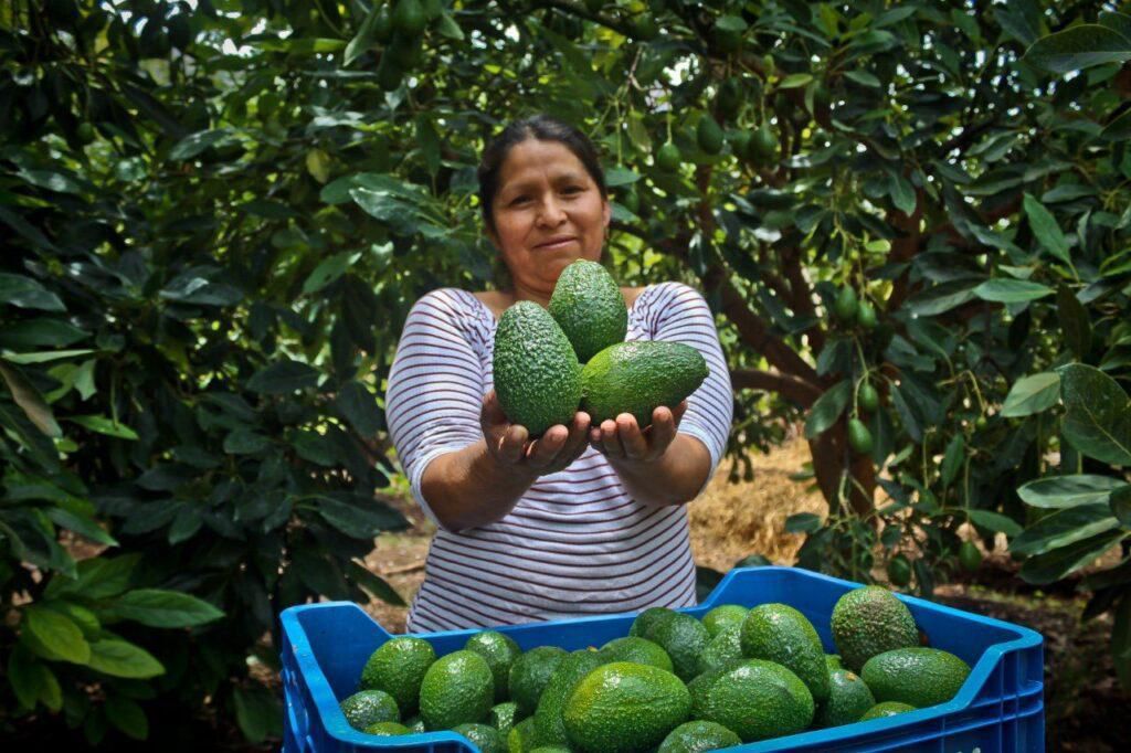 Fortalecen cadenas productivas para mejorar la alimentación
