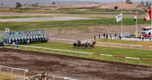 Clásico UCSM, el sábado en el hipódromo de Arequipa