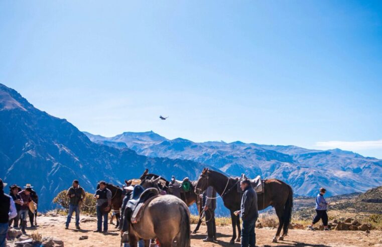 Valle del Colca recibió más de 233 000 turistas en 2025