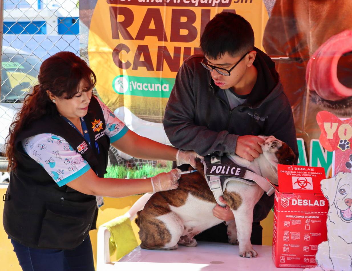 Campaña antirrábica en Arequipa no alcanzará meta por falta de recursos y baja participación