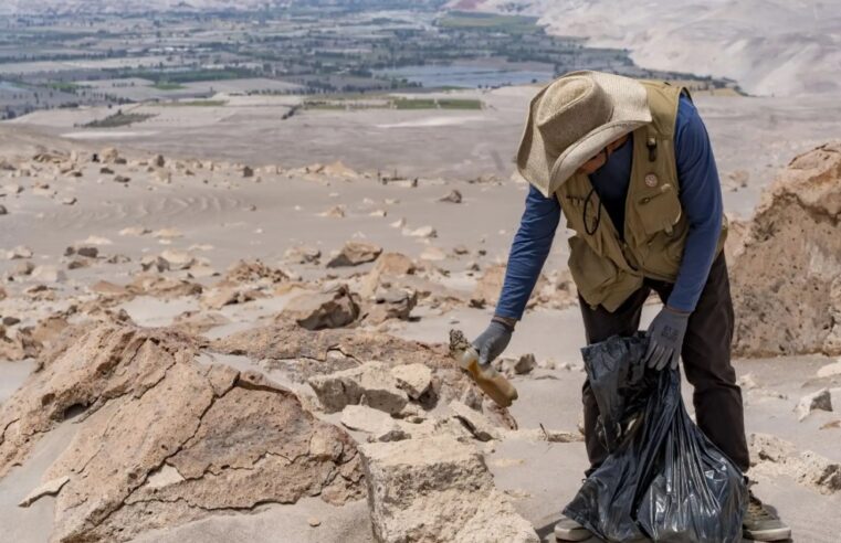 Ejecutan jornada de limpieza en el complejo Toro Muerto
