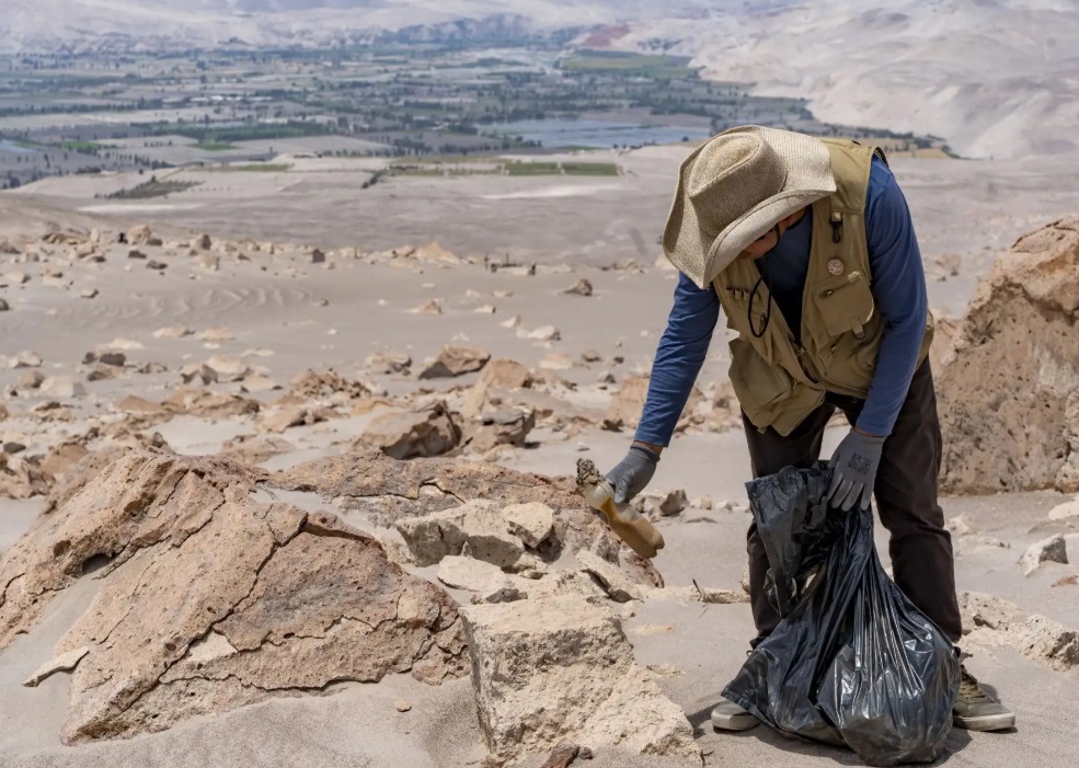 Ejecutan jornada de limpieza en el complejo Toro Muerto