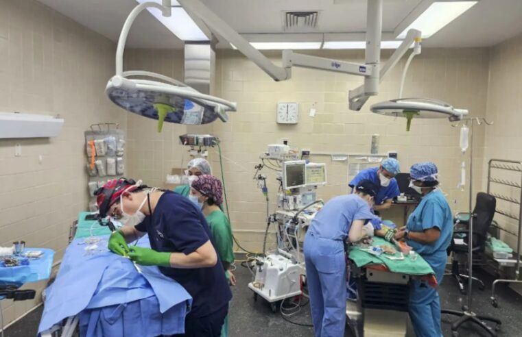 Campaña contra el labio leporino devolvió sonrisa a 24 personas