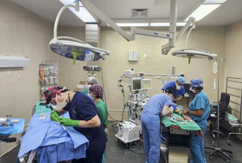 Campaña contra el labio leporino devolvió sonrisa a 24 personas