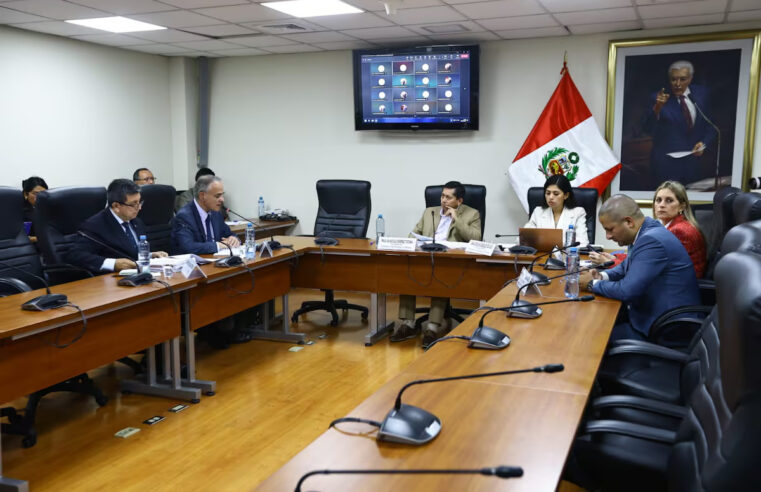 Plantean extensión del Reinfo hasta diciembre de 2026