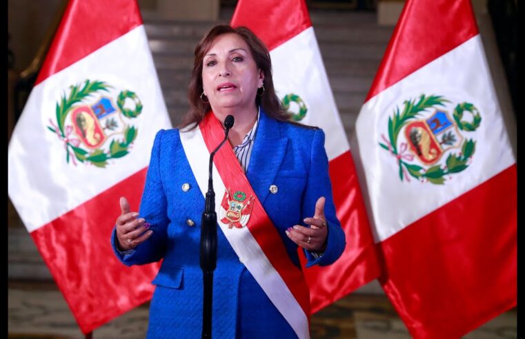 Abogado de Dina Boluarte niega solicitudes de asilo de la presidenta y asegura que la acompañará “hasta el final”