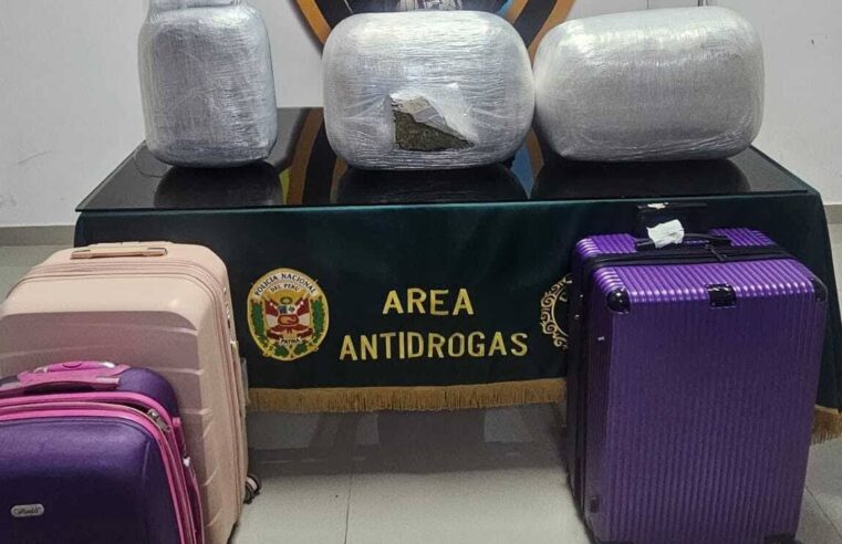 Capturan a joven 55 kilos de marihuana en terrapuerto