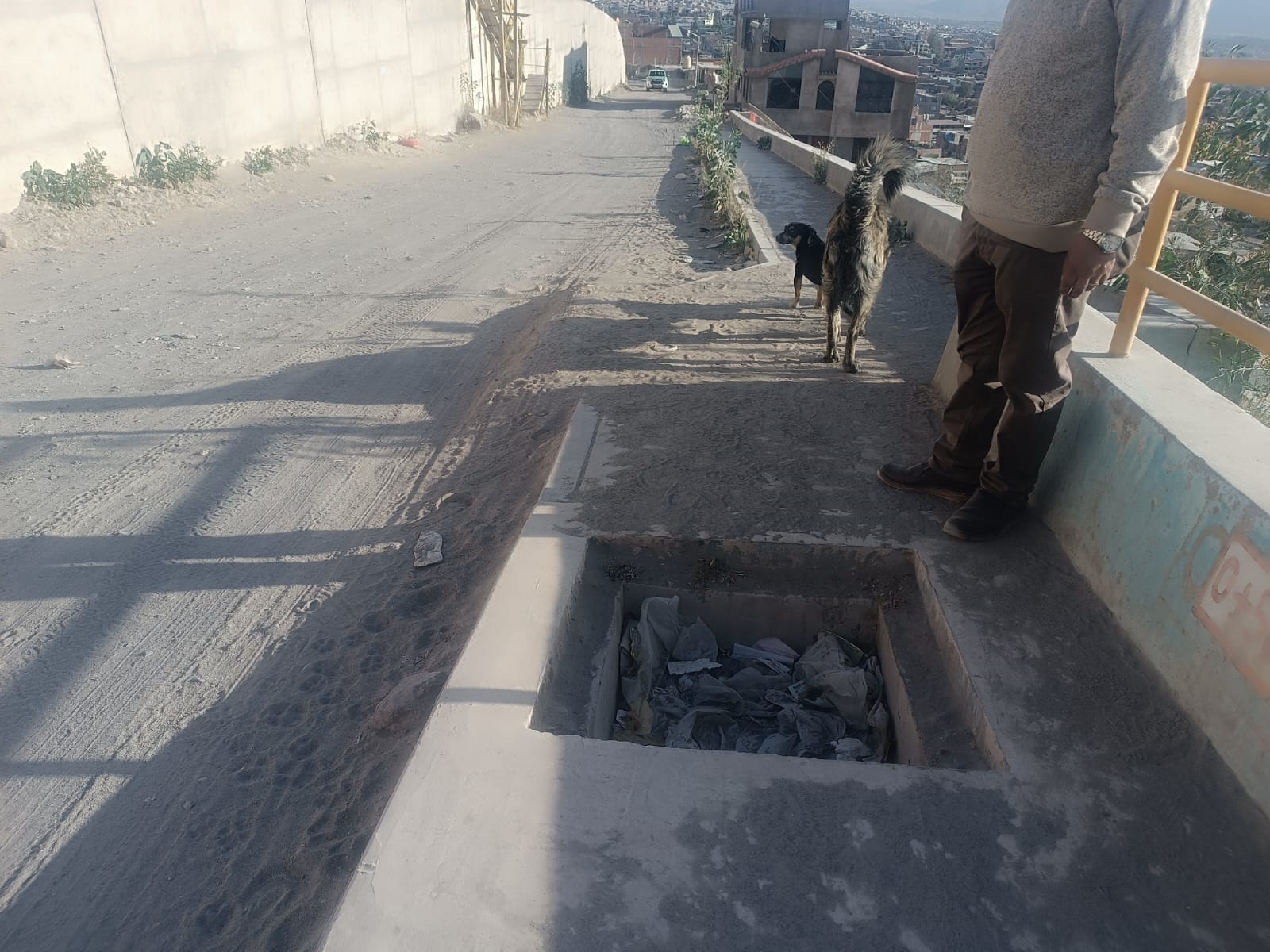 FOTO DE HOY DOMINGO 12 DE OCTUBRE