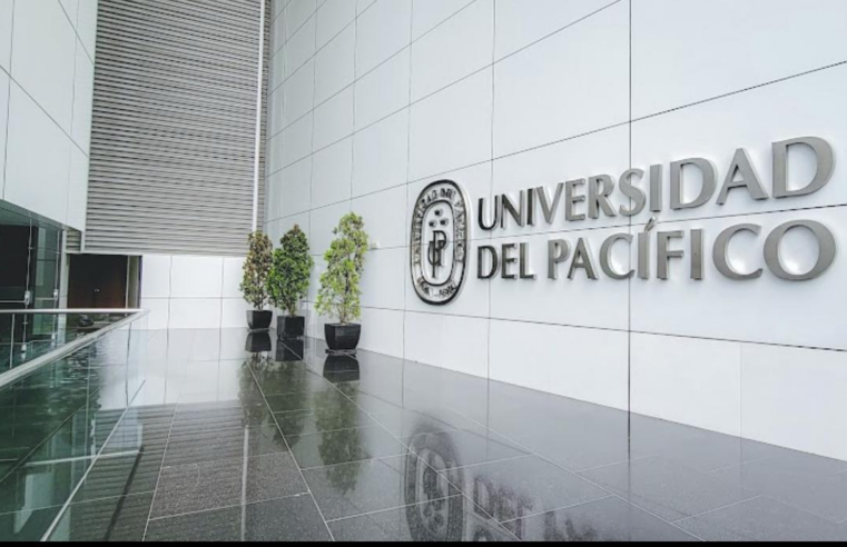 Investigadores marcan la ruta de desarrollo para próximo gobierno