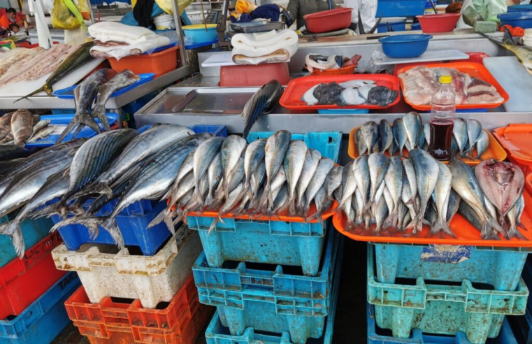 Abastecimiento regular y precios estables en pesquero de Río Seco