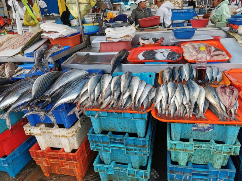 Abastecimiento regular y precios estables en pesquero de Río Seco