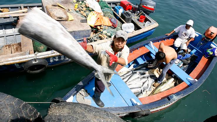 Arequipa avanza en creación de mesas de trabajo para atender crisis pesquera